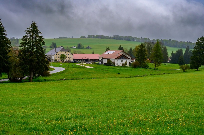 JE07052024_Z6J2436