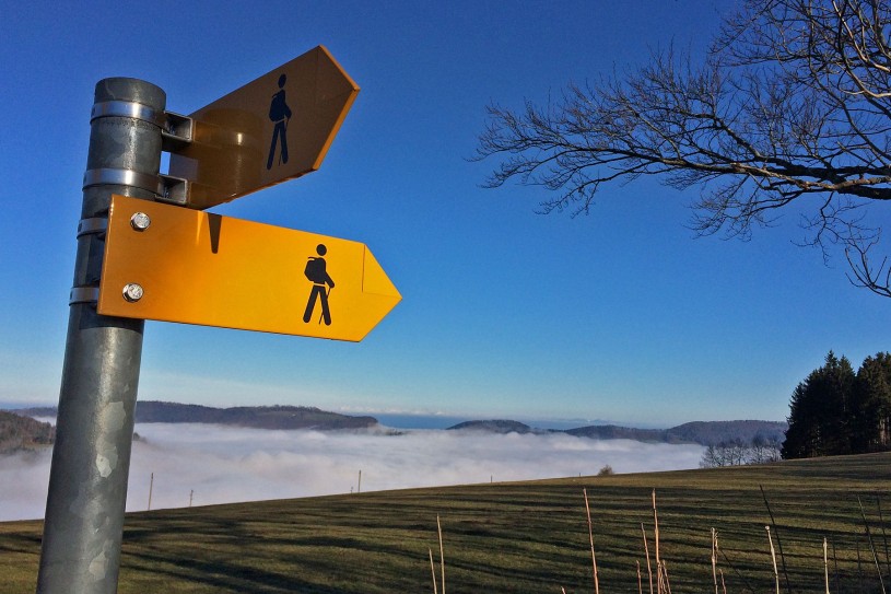Indicateurs_Brume