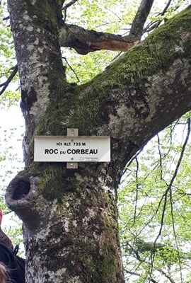 Roc aux Corbeaux  ̶  Aussichtspunkt Rabenfelsen