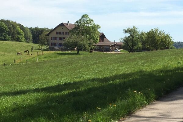 Von der Birs zum Fels von Courroux
