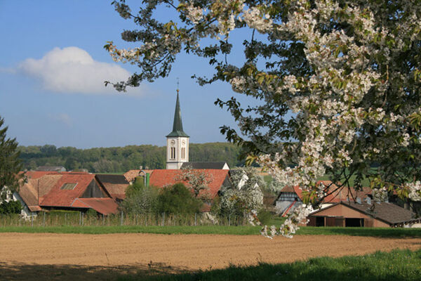 Sur le Mont