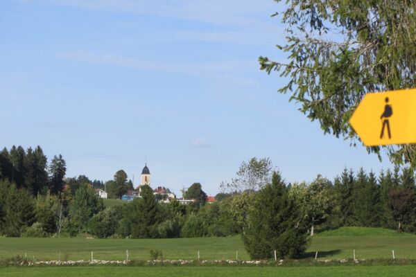 Bois, chaux, murs et vaches