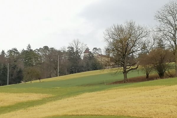 Von Schloss zu Schloss