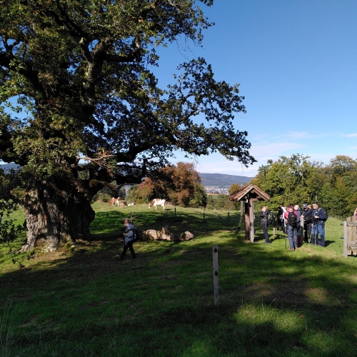 IMG_20241006_151508