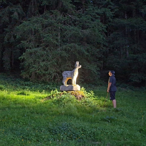 20260627_221150