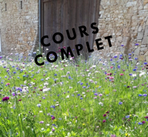 Capture d’écran 2025-05-28 155135