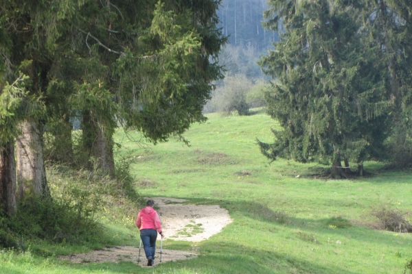 En passant par la Racine et le Tabeillon