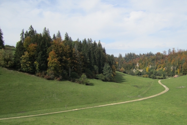 Von Erzen und Wasser