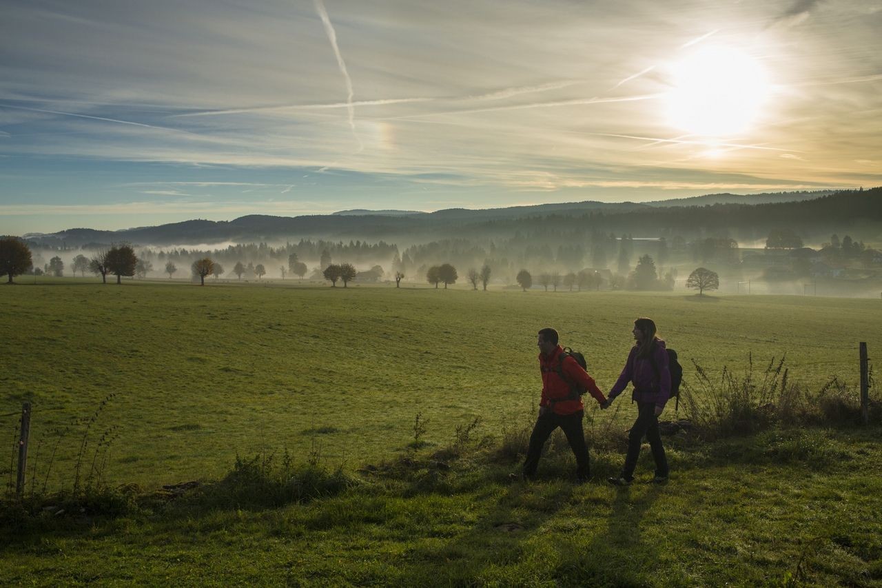 SR_Brume en automne Les Cerlatez_2 fond d'écran