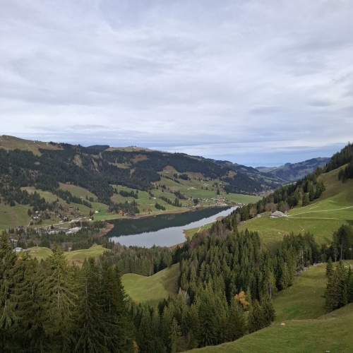 Thumbnail_1000193779