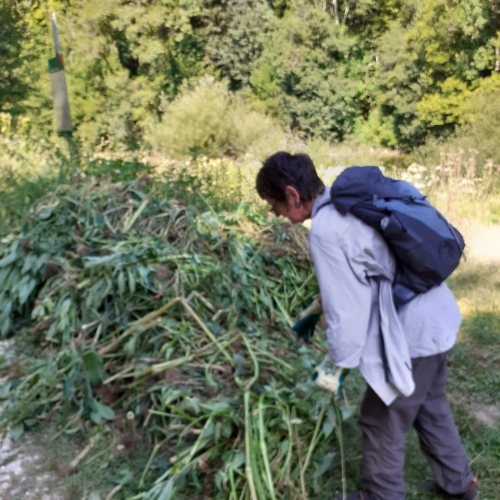 IMG-20250707-WA0007[1]