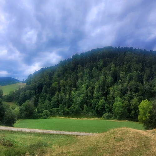 IMG-20250706-WA0031[1]