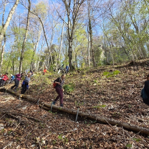 WhatsApp Image 2026-04-11 at 18