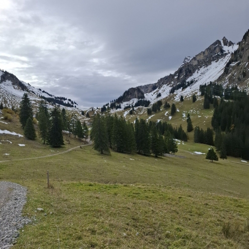 Thumbnail_1000193808