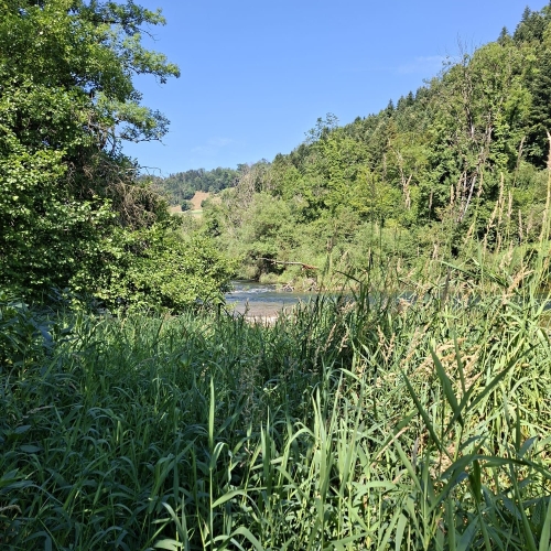 IMG-20250706-WA0008[1]