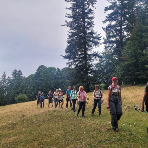 IMG-20250706-WA0018[1]