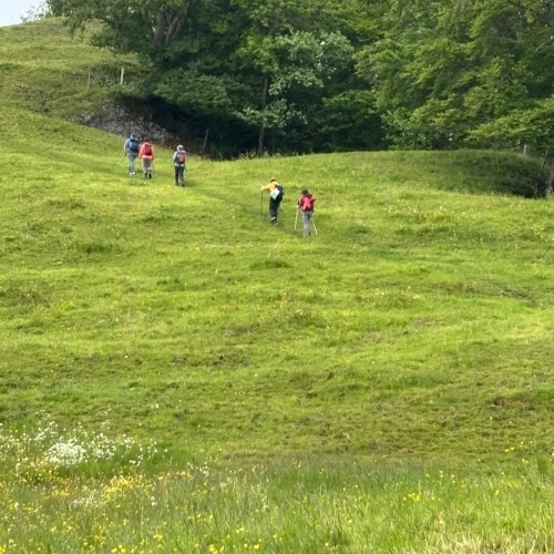 Image1