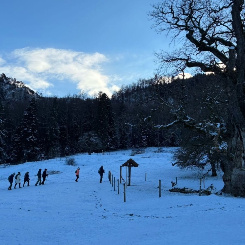 WhatsApp Image 2026-01-04_4