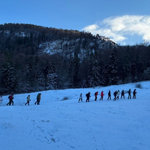 WhatsApp Image 2026-01-04 at 16