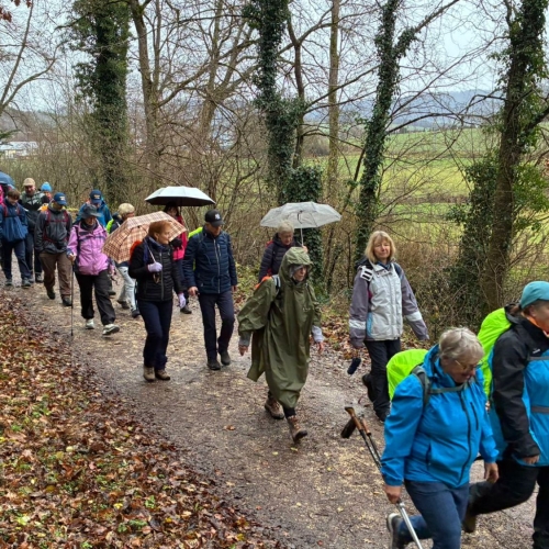 WhatsApp Image 2025-12-07 à 13