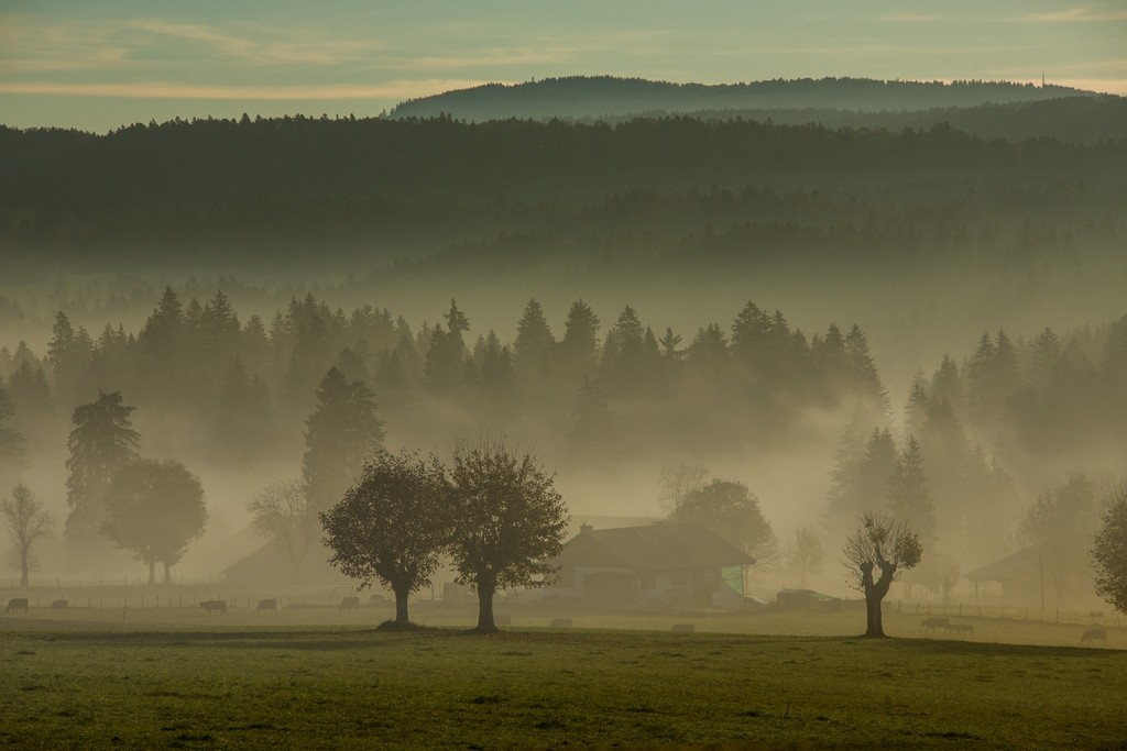 SR_Brume en automne Les Cerlatez
